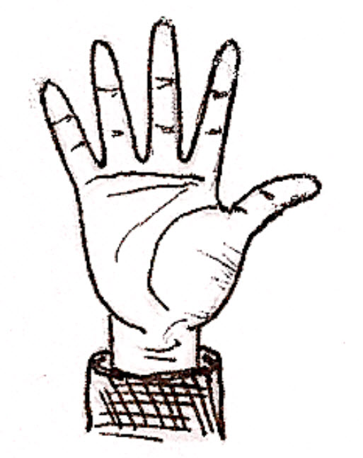 How to Draw a Hand Fazzino